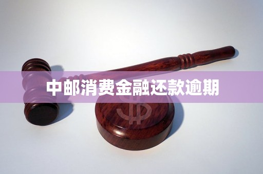 中邮消费金融还款逾期