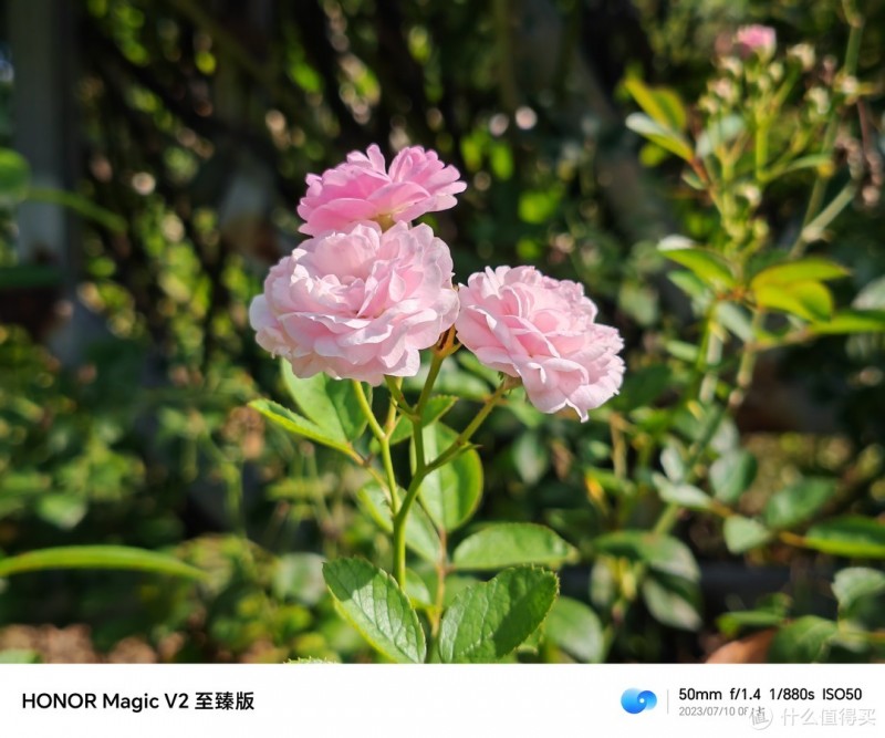 当荣耀Magic V2折叠屏遇到iPhone14 Pro+iPad mini6，到底谁更实用？谁更值得买？