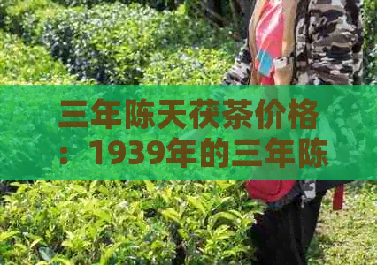 三年陈天茯茶价格：1939年的三年陈天茯茶一公斤盒多少钱？