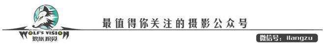 相机上还能装全景云台？这样手机就能一起工作了！手机补光灯「相机上还能装全景云台？这样手机就能一起工作了！」