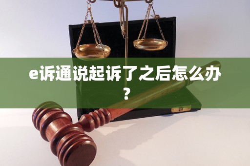 e诉通说起诉了之后怎么办？