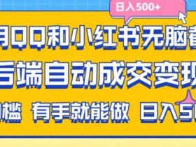 如何在小红书虚拟掘金项目赚钱，简单操作轻松引流