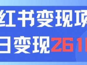 如何在小红书虚拟掘金项目赚钱，简单操作轻松引流