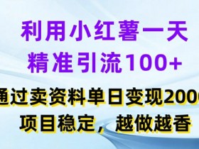 如何在小红书虚拟掘金项目赚钱，简单操作轻松引流