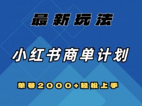 小红书带货笔记引流的正确方式，如何通过精准引流提升销售